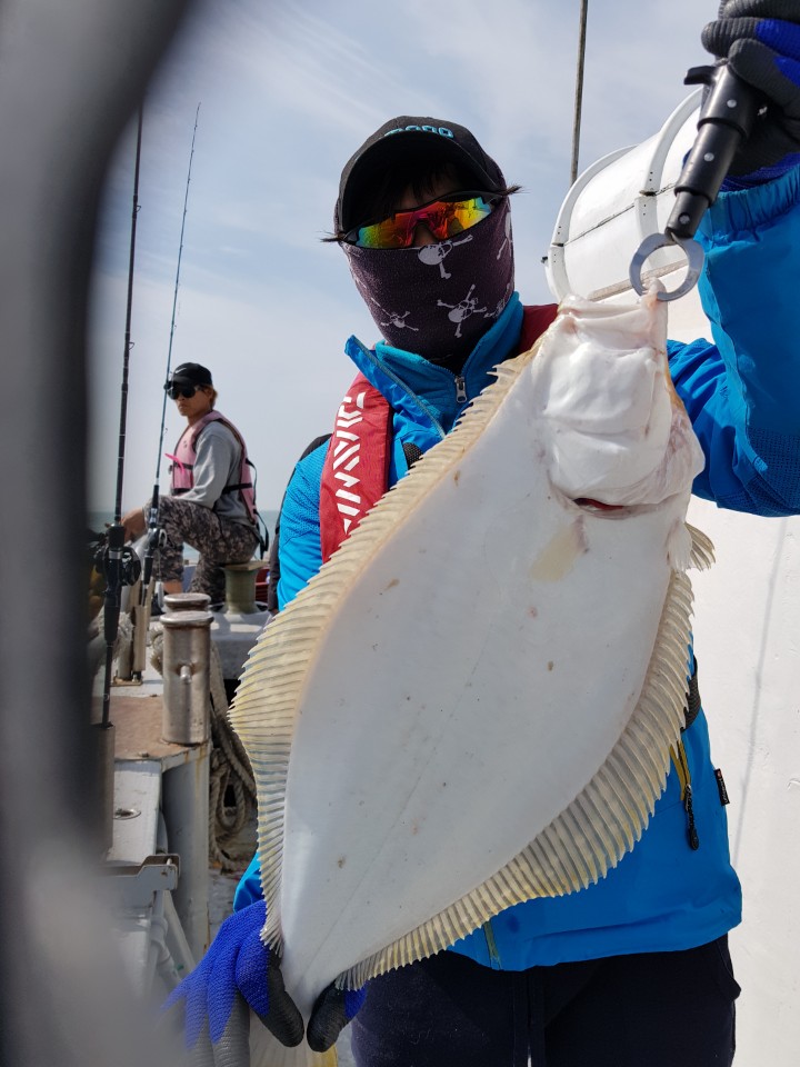 5월5일 진두낚시 올스타호 광어다운샷출조