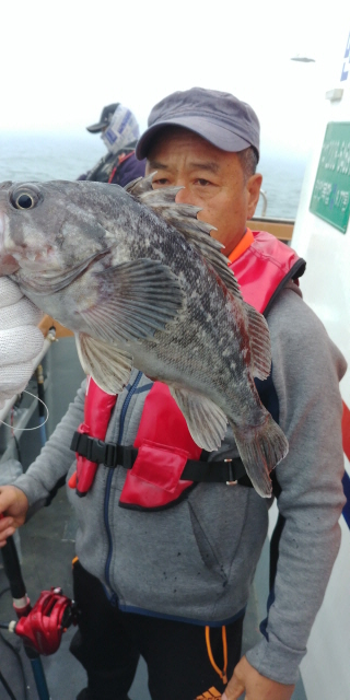 5월10일 진두낚시 아라호 먼바다 우럭 출조