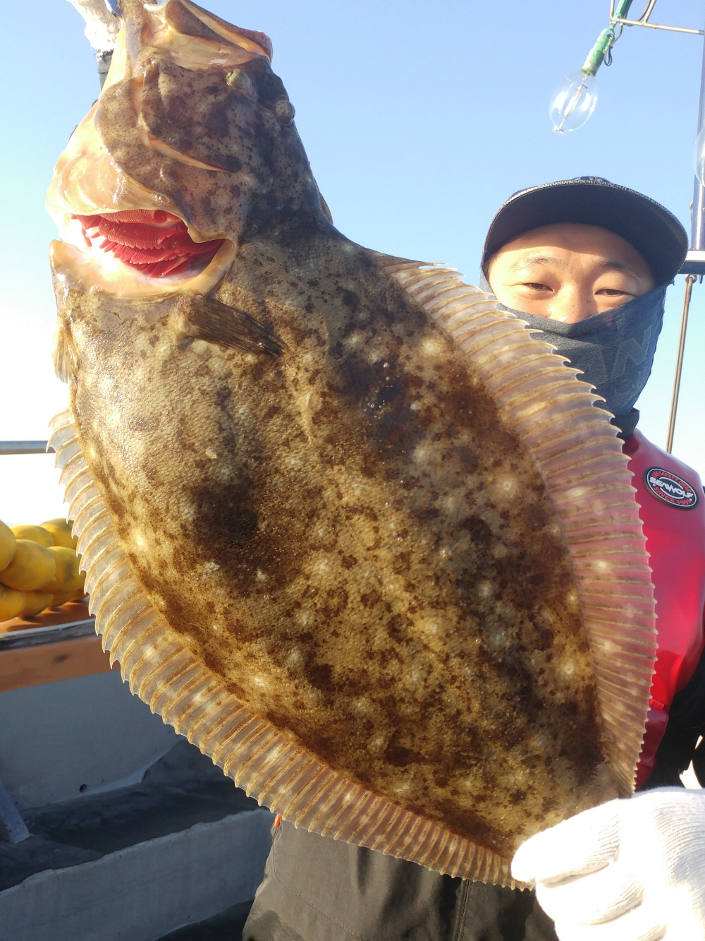 5월26일 진두낚시 아라호 대광어다운샷단체