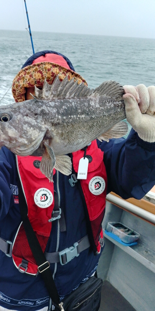 5월10일 진두낚시 아라호 먼바다 우럭 출조