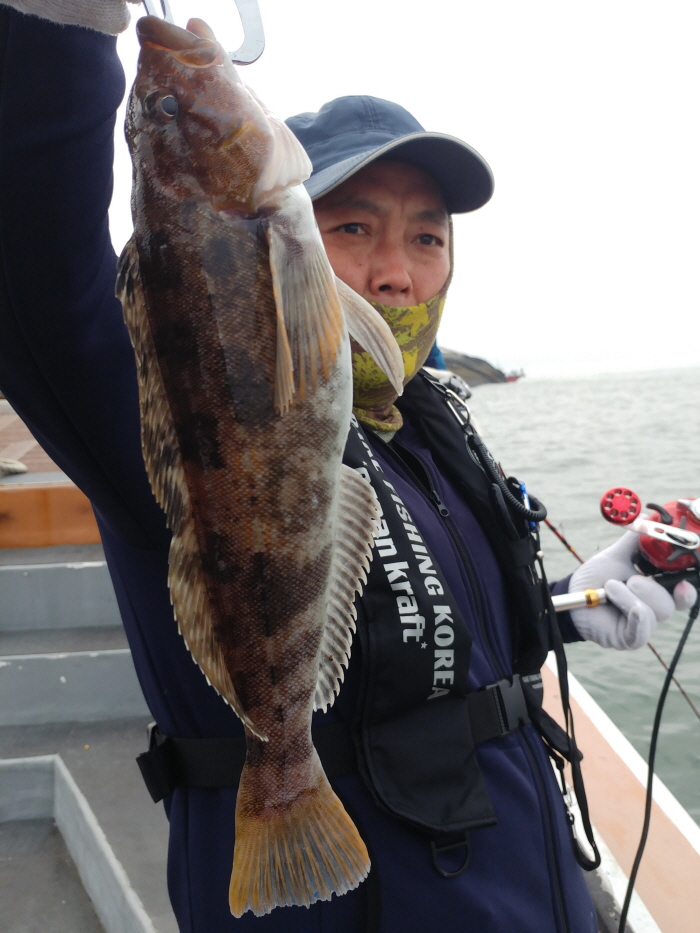 5월13일 진두낚시 아라호 먼바다 우럭낚시