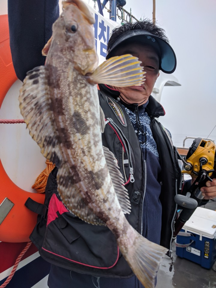 5월11일 진두낚시 아라호 먼바다우럭출조