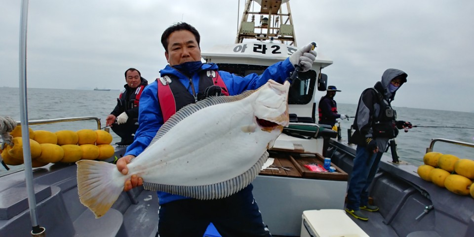 5월13일 진두낚시 아라2호 대광어다운샷