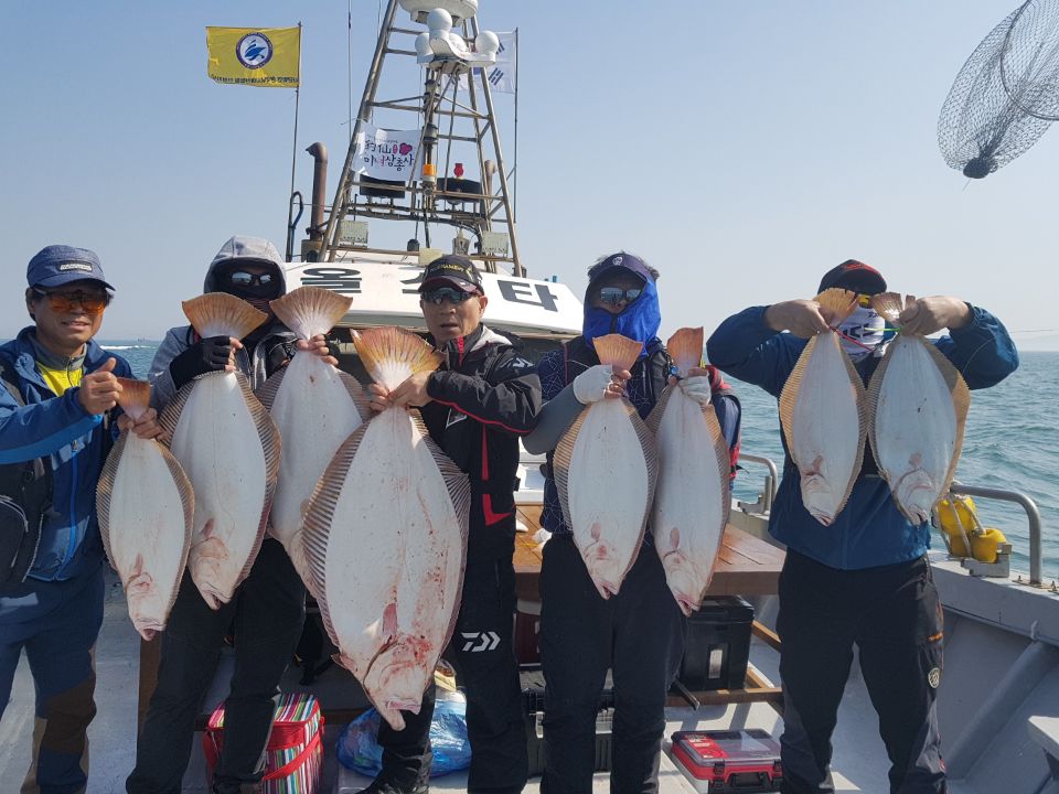 5월26일 진두낚시 올스타호 대광어다운샷출조