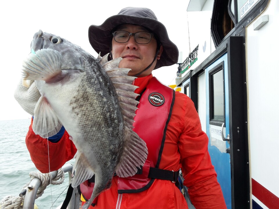 5월20일 진두낚시 아라호 먼바다우럭출조