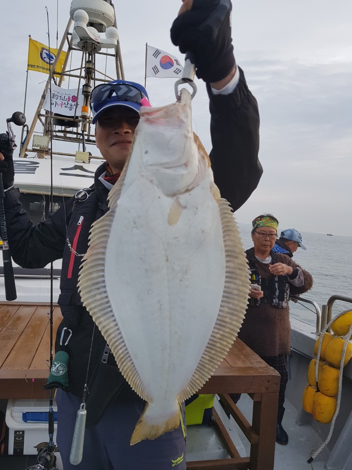 5월27일 진두낚시 올스타호 대광어다운샷출조