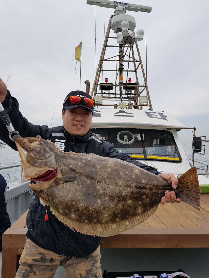 5월7일 진두낚시 올스타호 대광어다운샷