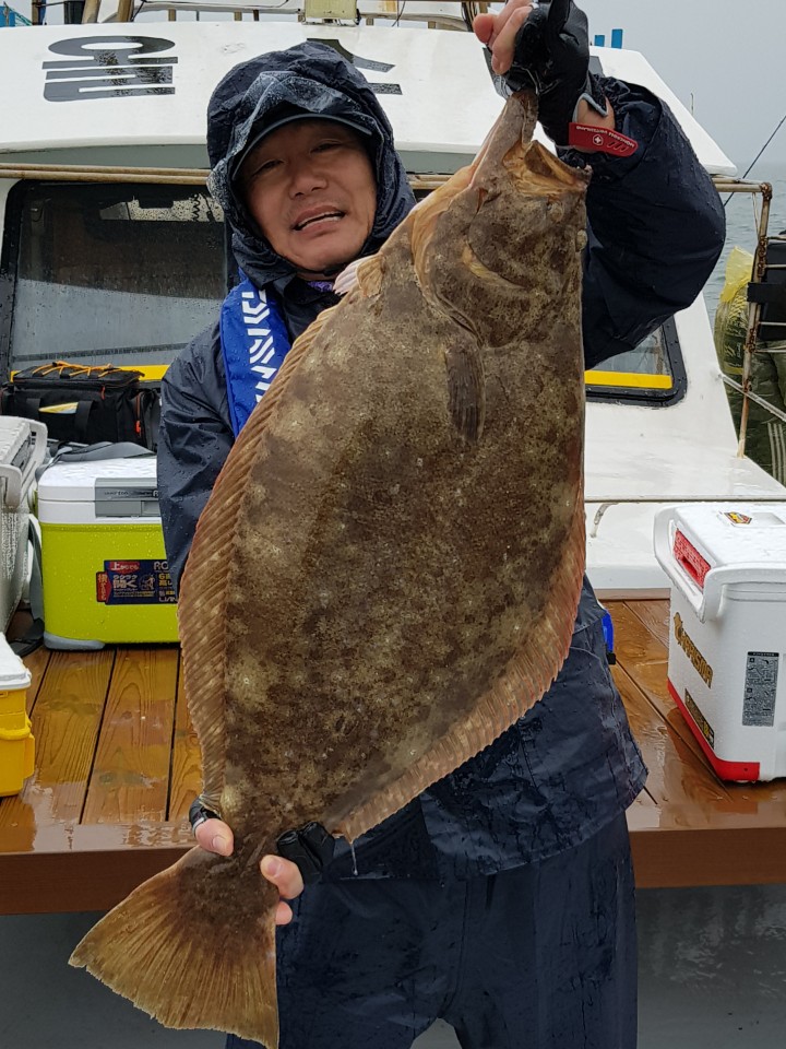 5월12일 진두낚시 올스타호 대광어 다운샷출조