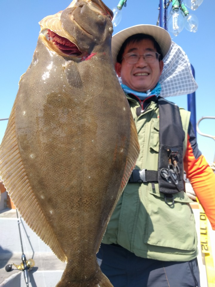 6월3일 진두낚시 아라호 대광어다운샷출조
