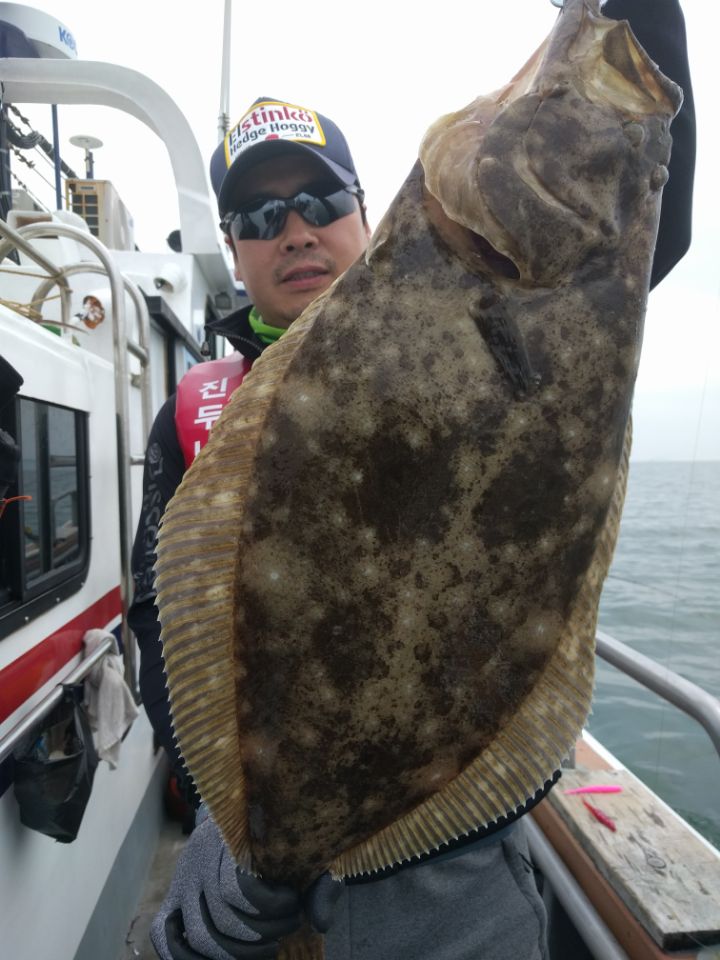 6월17일 아라호 대광어다운샷출조