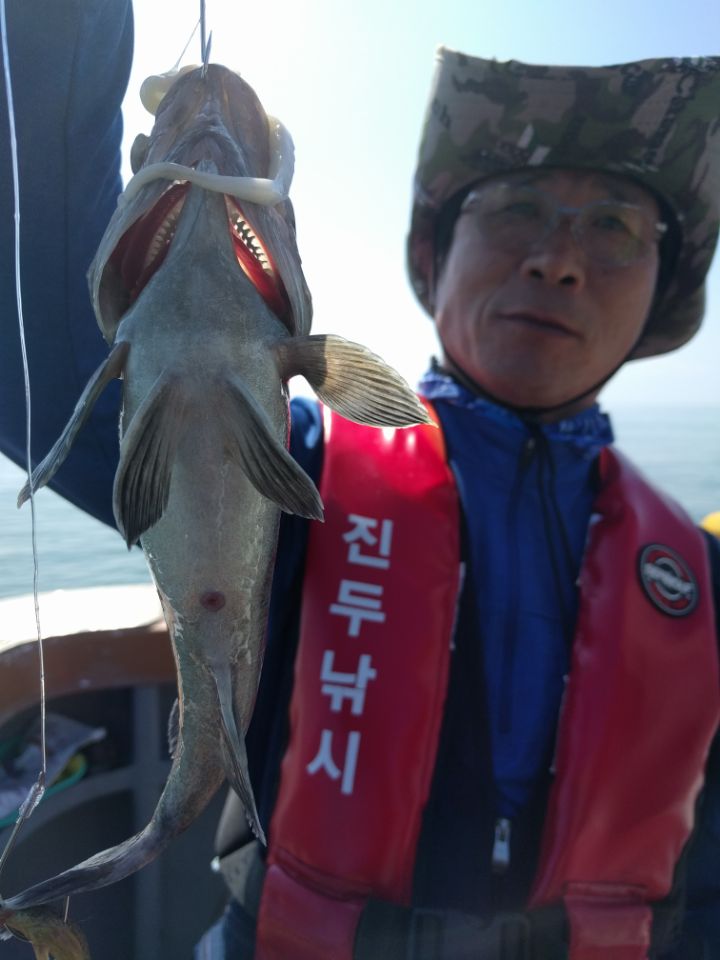 6월12일 아라호 우럭 단체