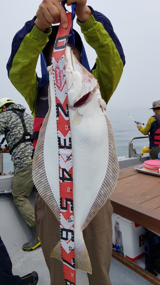 6월23일 올스타호 광어다운샷출조