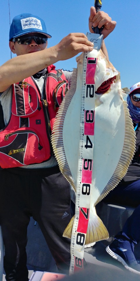 6월1일 진두낚시 아라2호 대광어다운샷출조