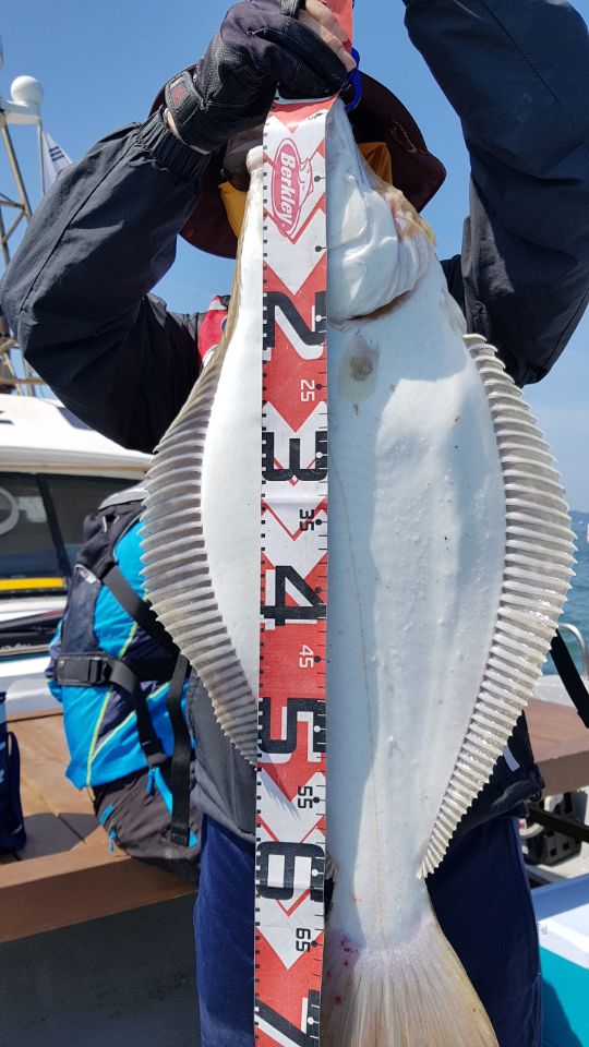 6월16일 올스타호 대광어다운샷