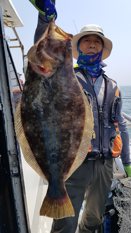 6월24일 올스타호 광어다운샷&외수질출조