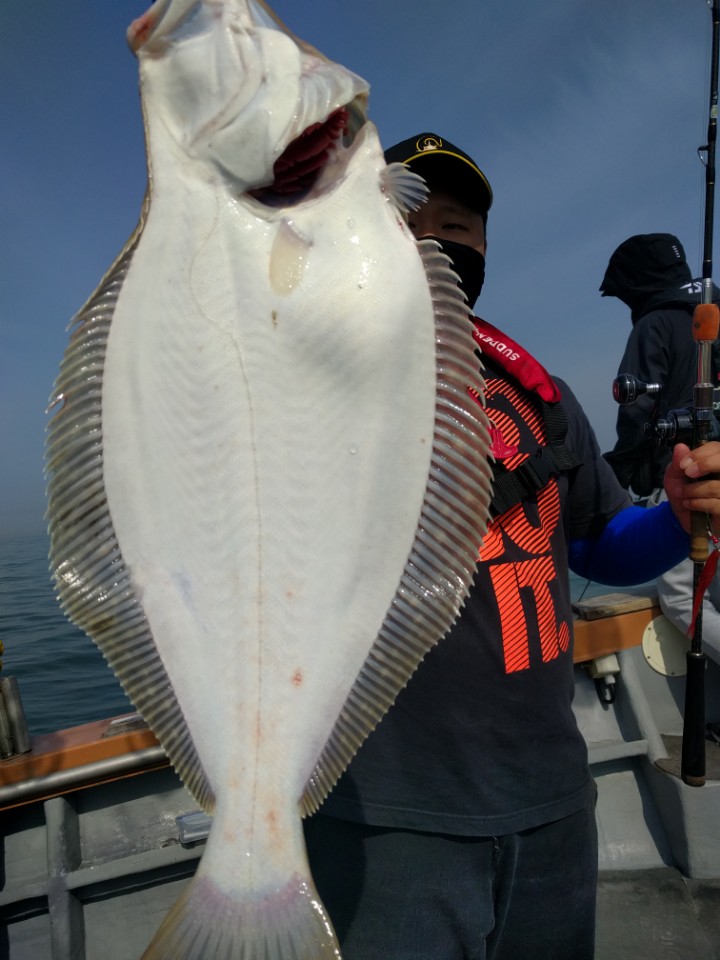 6월3일 진두낚시 아라호 대광어다운샷출조
