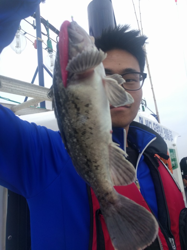 6월7일 아라호 먼~먼바다 우럭출조