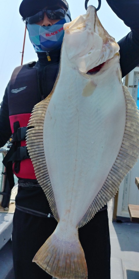 6월6일 진두낚시 아라2호 대광어다운샷출조