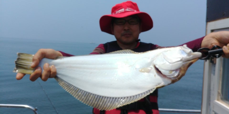 6월24일 아라2호 광어다운샷&외수질출조