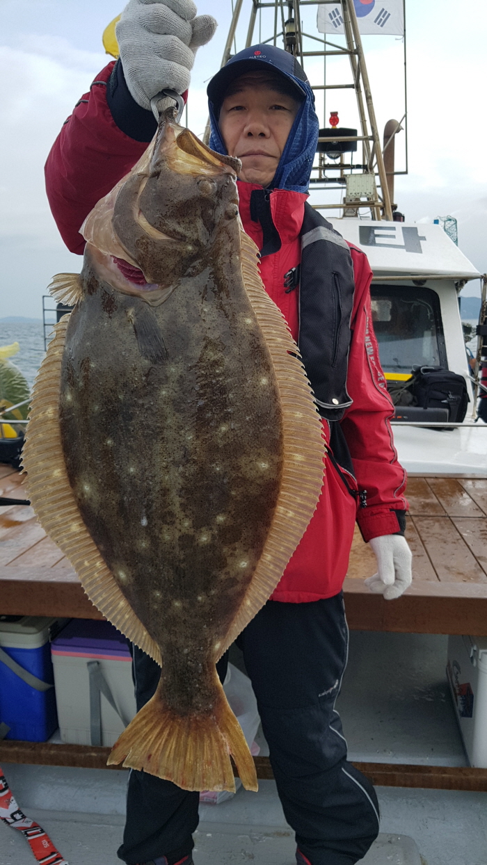 6월10일 올스타호 대광어다운샷출조