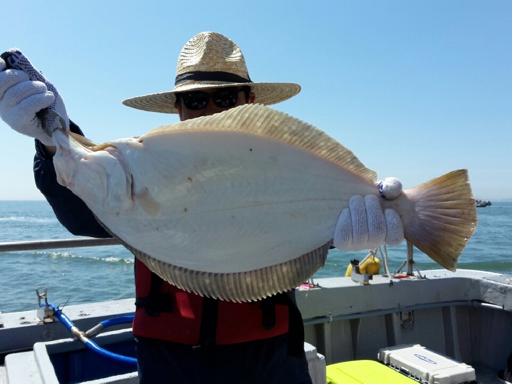 6월2일 진두낚시 올스타호 대광어다운샷출조