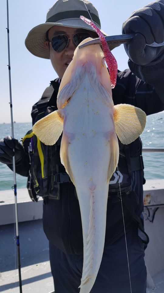 6월16일 올스타호 대광어다운샷