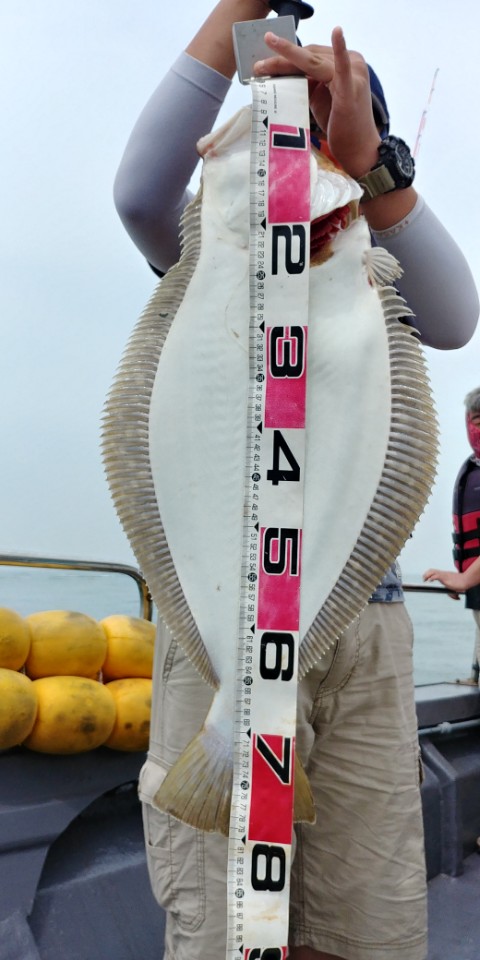 6월17일 아라2호 대광어다운샷출조