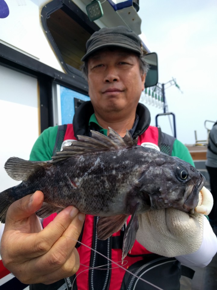 6월23일 아라호 먼바다 우럭출조