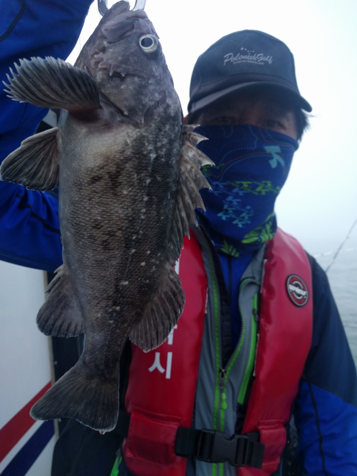 6월24일 아라호 먼바다우럭출조