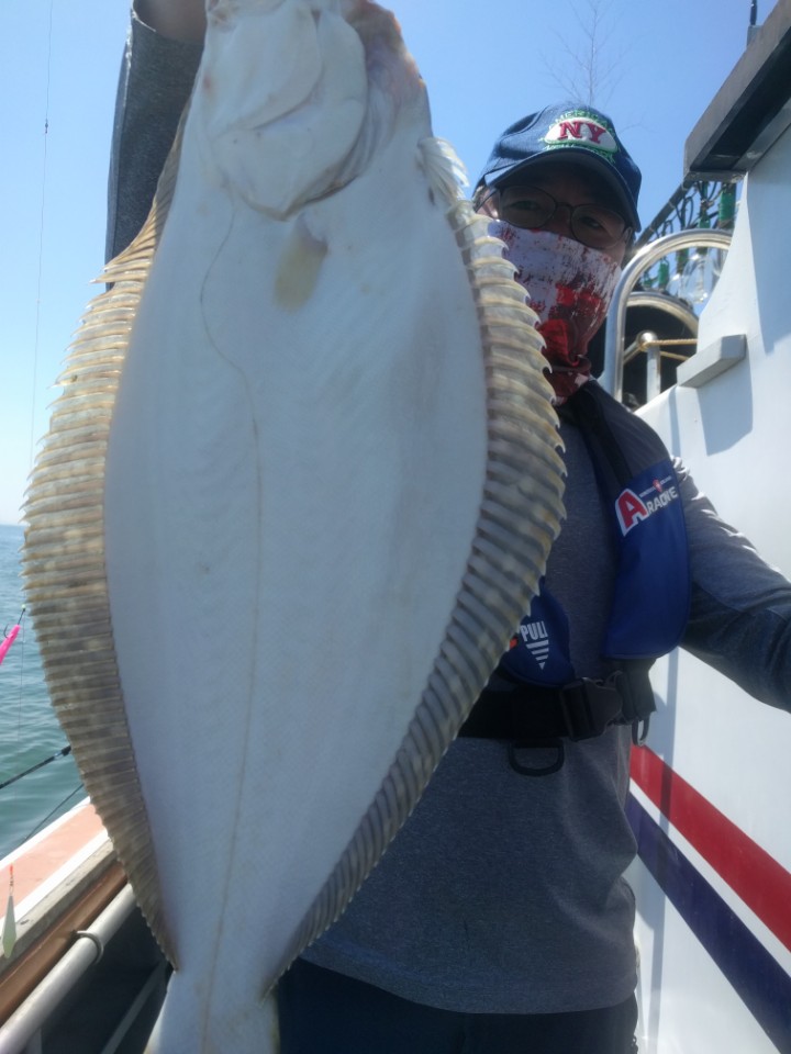 6월2일 진두낚시 아라호 대광어다운샷출조