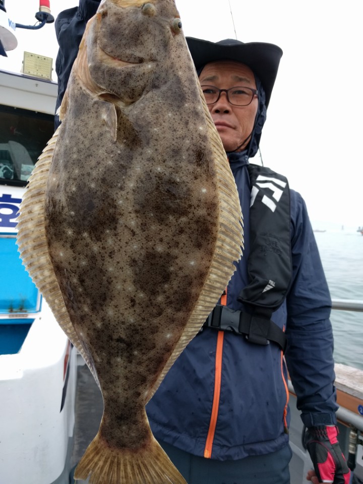 6월17일 아라호 대광어다운샷출조