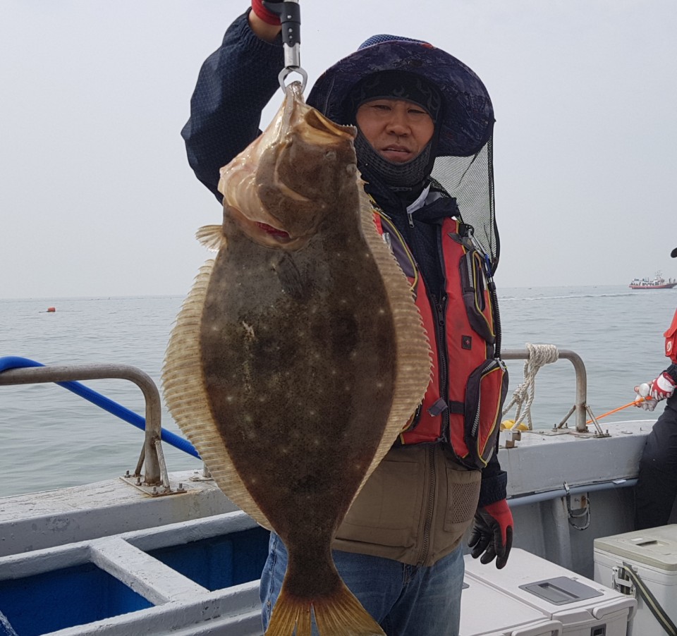 6월13일 올스타호 대광어다운샷출조