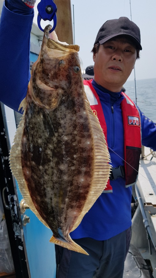 6월24일 올스타호 광어다운샷&외수질출조