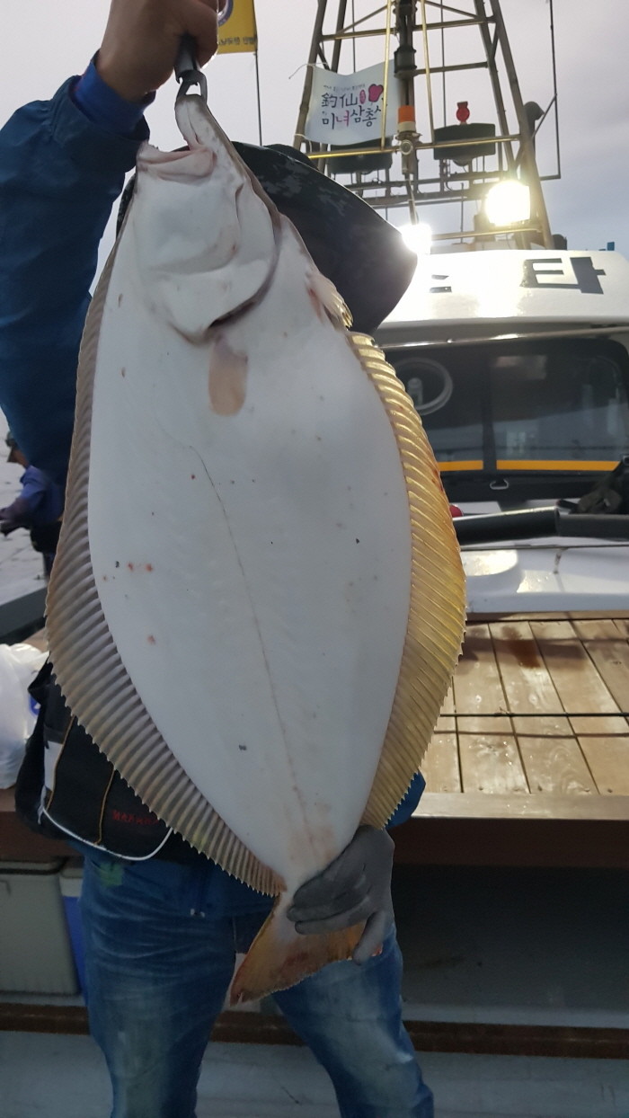 6월10일 올스타호 대광어다운샷출조