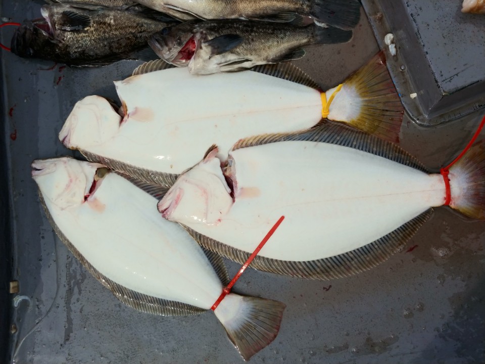 6월30일 아라2호 외수질 & 다운샷