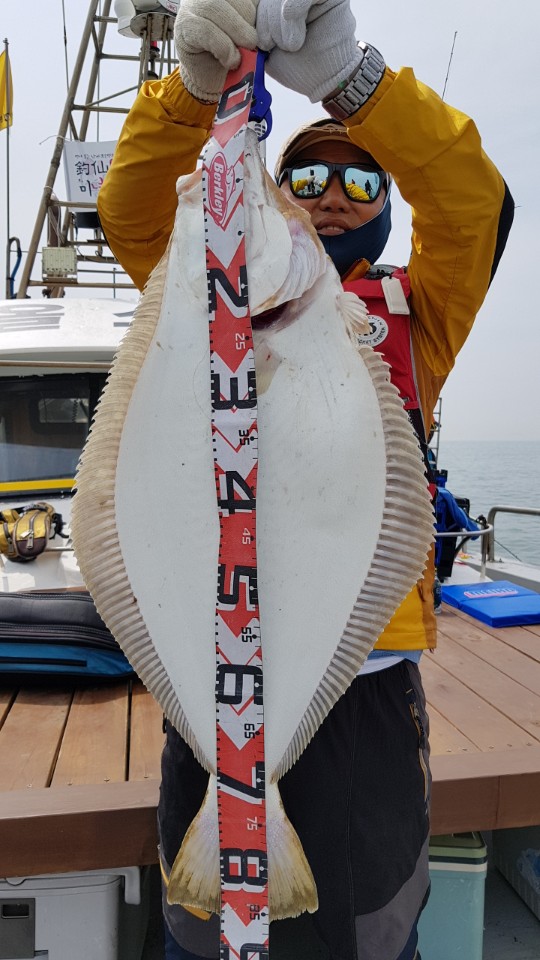 6월17일 올스타호 대광어다운샷출조