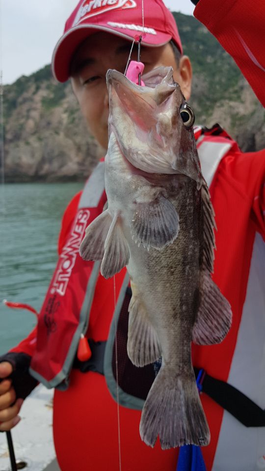 6월30일 올스타호 외수질& 다운샷