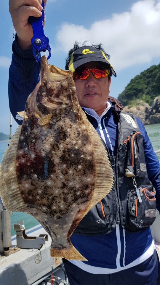 7월15일 올스타호 외수질출조