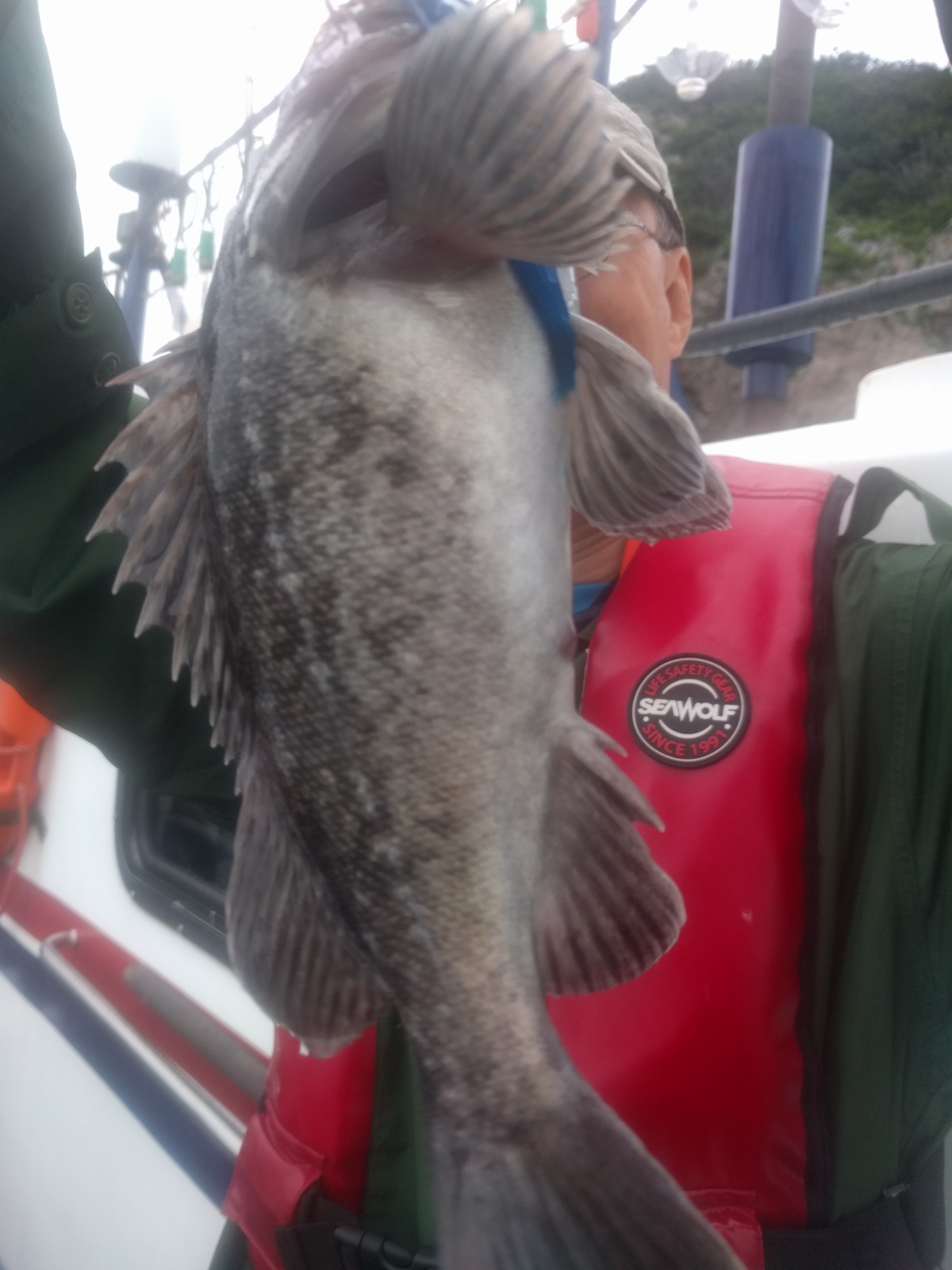 7월11일 먼바다 우럭,광어 외수질출조