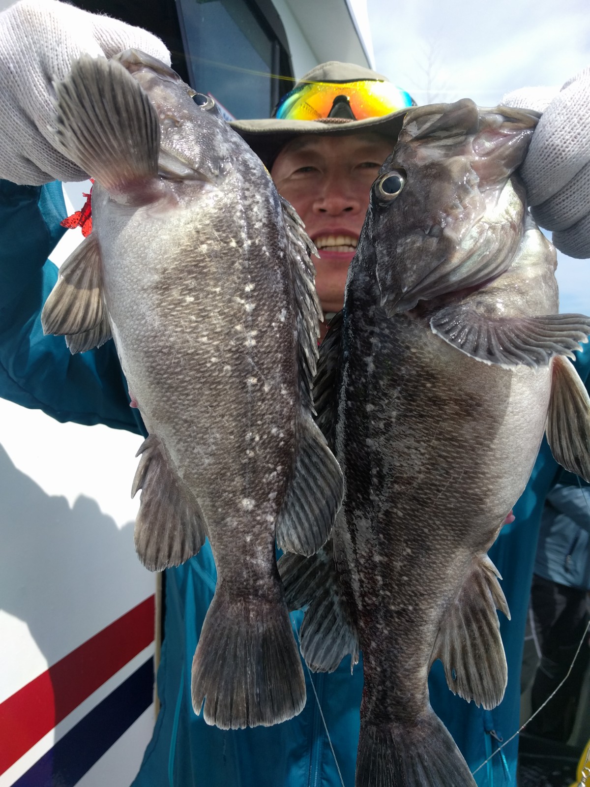 7월7일 아라호 먼~우럭출조