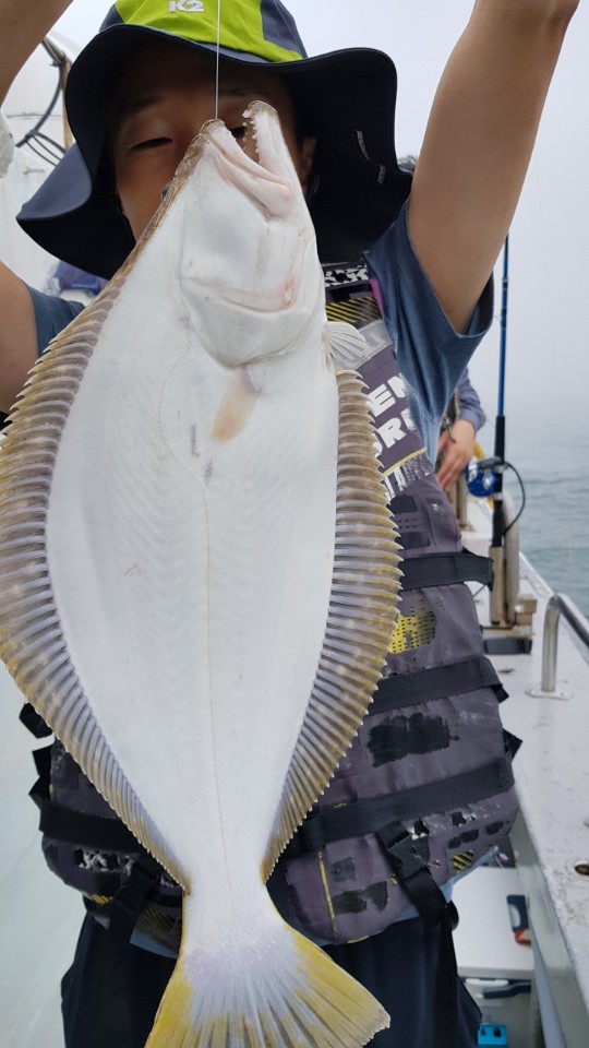 7월14일 올스타호 외수질출조