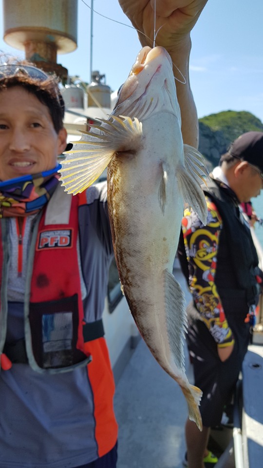 7월7일 올스타호 먼바다외수질& 다운샷출조