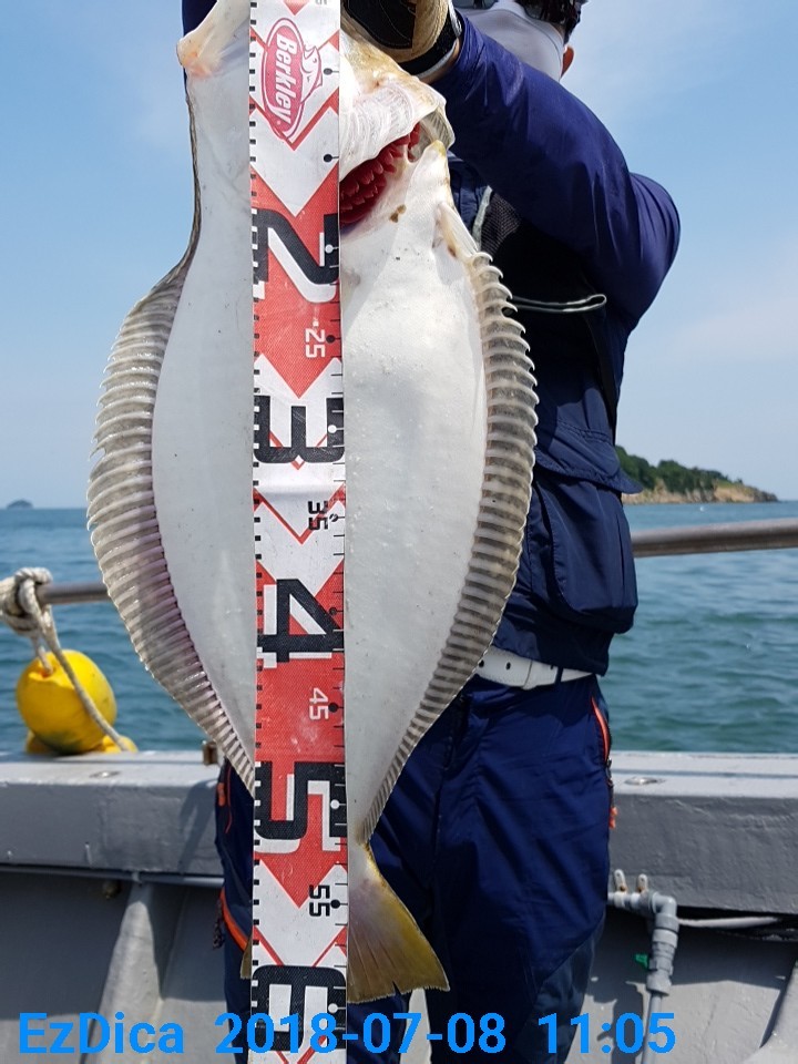 7월8일 올스타호 먼바다외수질&다운샷