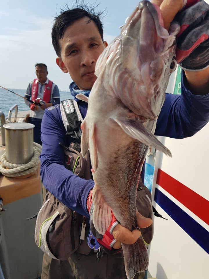 8월19일 아라호 먼바다우럭출조