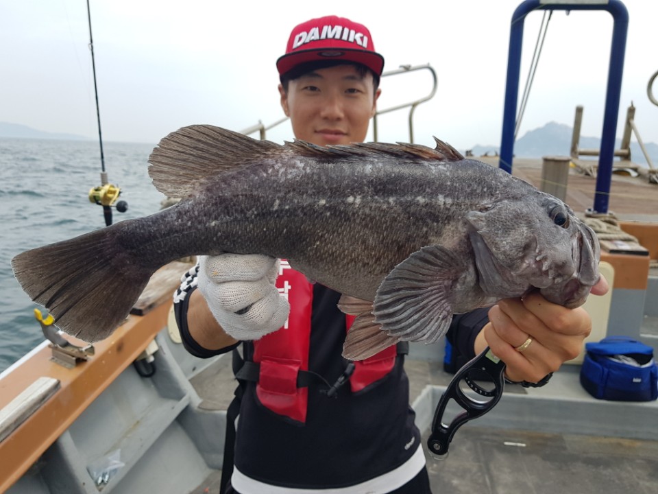 8월20일 아라호 먼바다우럭출조