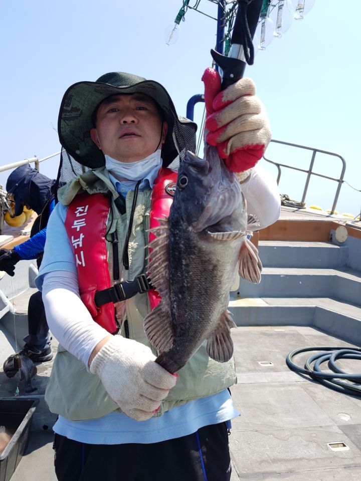 진두낚시 아라호 먼바다 우럭 낚시