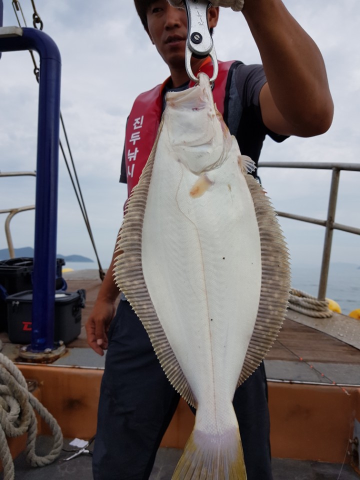 8월31일 아라호 먼바다우럭출조