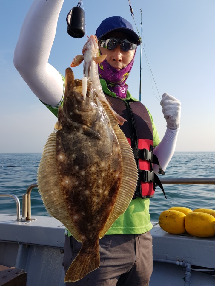 8월15일 올스타호 오전시간낚시