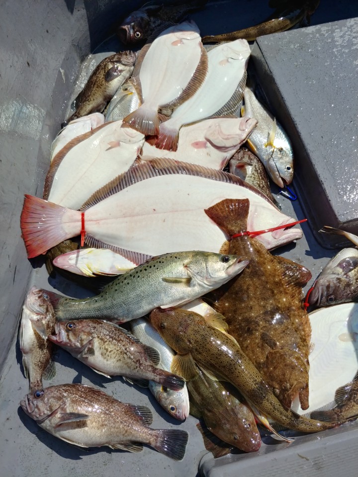 8월4일 아라2호 외수질출조