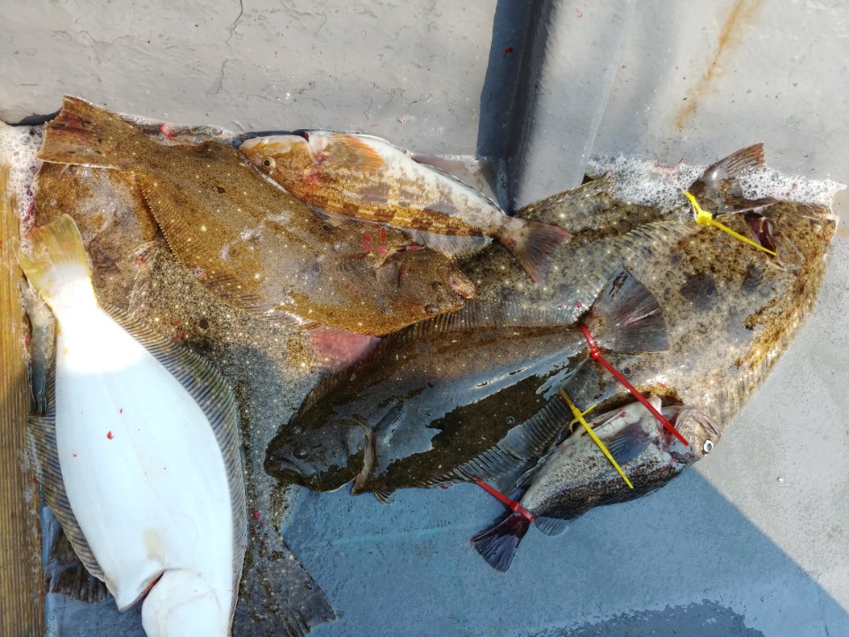 8월15일 아라2호 외수질출조